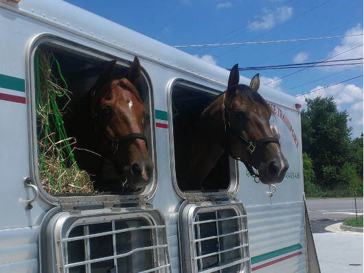 tetiere cotransport